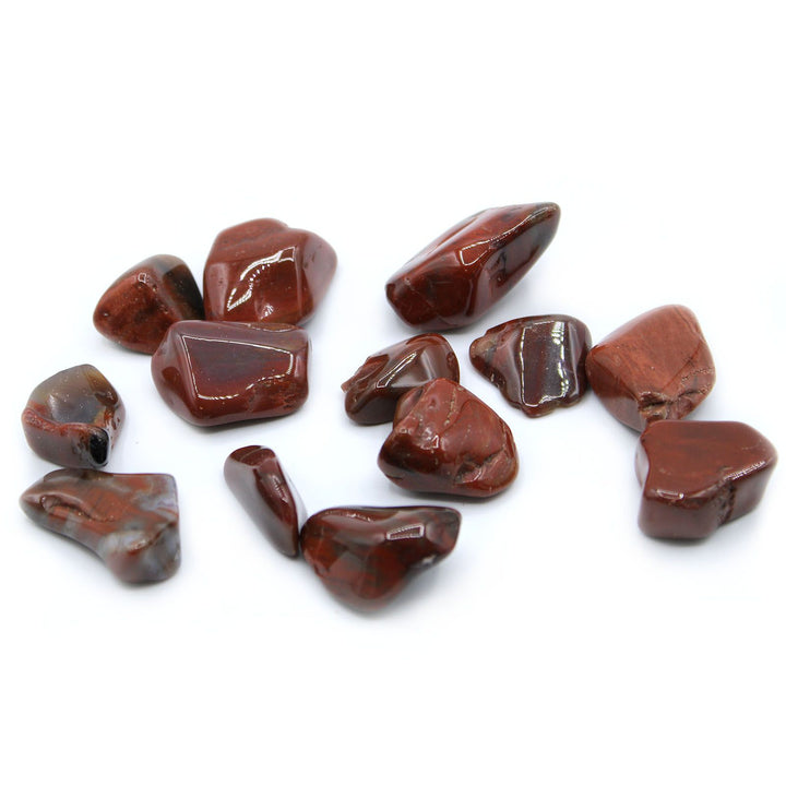 L Tumble Stones - Madera Petrificada